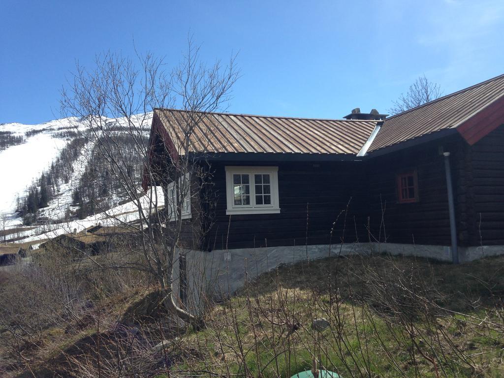 Alpelia Villa Hemsedal Luaran gambar